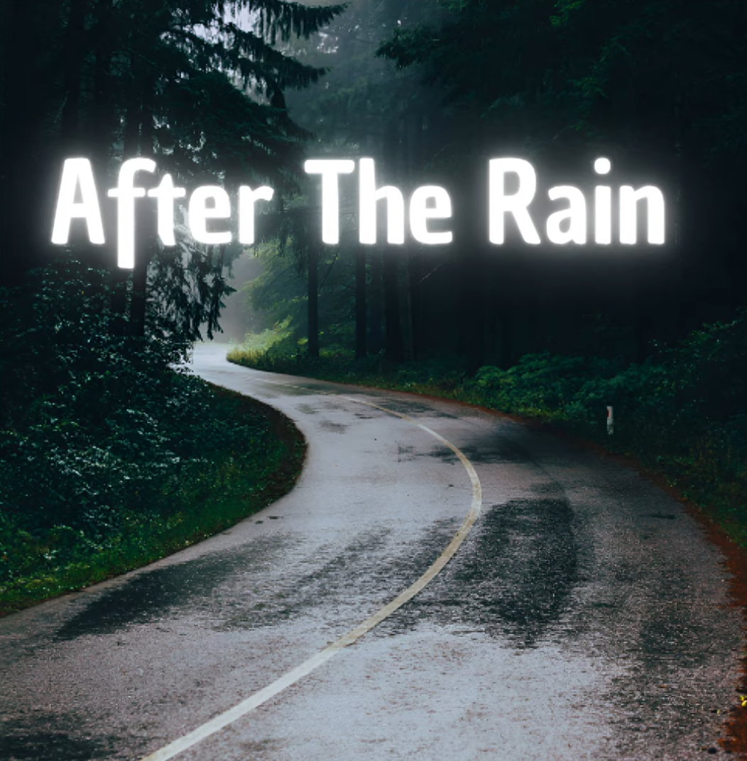 /img/blog/20251108_after_the_rain/after_the_rain.png
